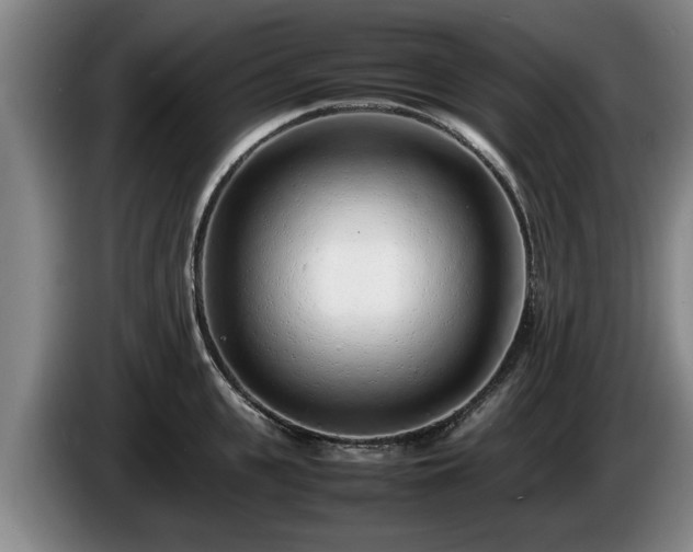 X0000086230951200704051153