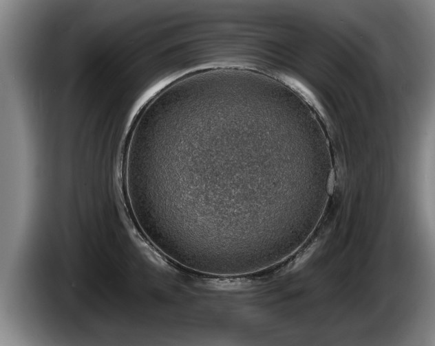 X0000086230952200704051153