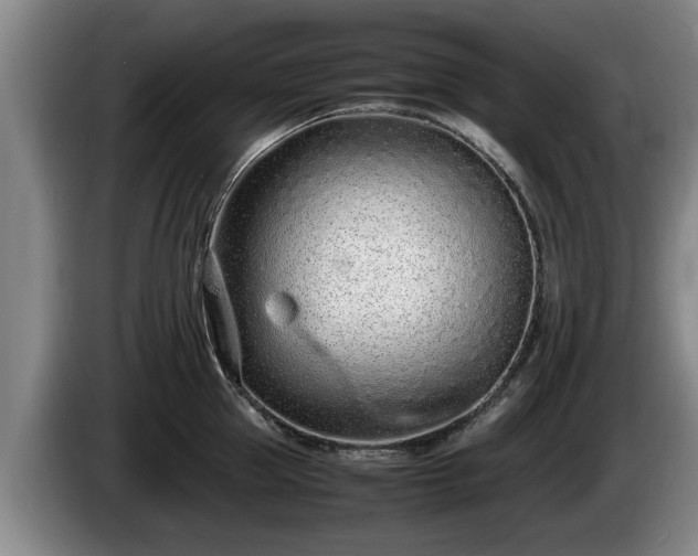 X0000086230953200704051153
