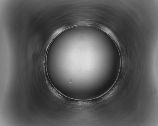 X0000086230954200704051153