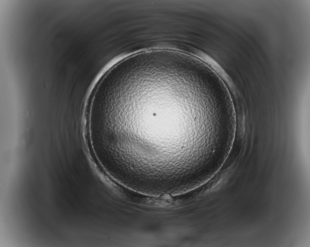 X0000086230955200704051153