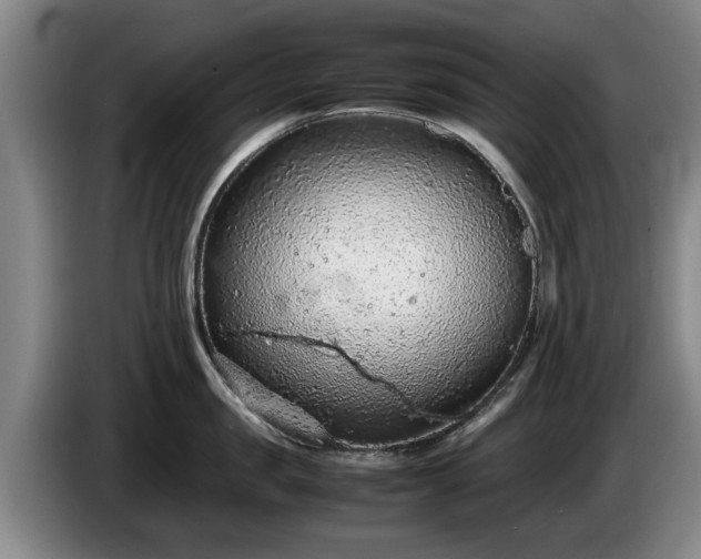 X0000086230957200704051153