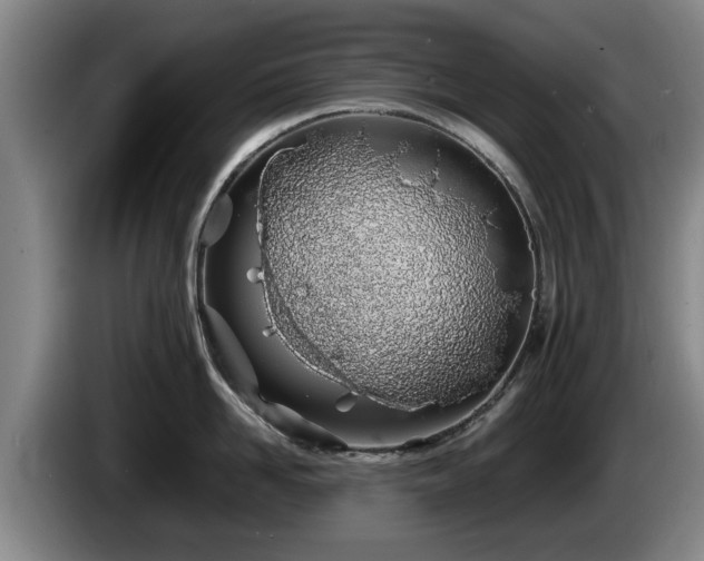 X0000086230958200704051153
