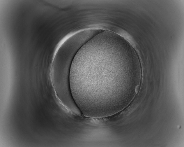 X0000086230960200704051153