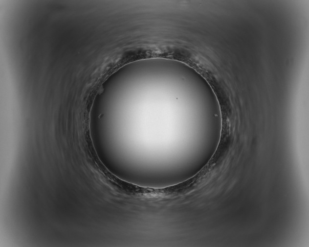 X0000086230961200704051153
