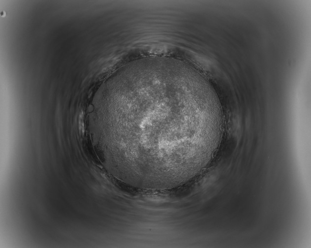 X0000086230962200704051153