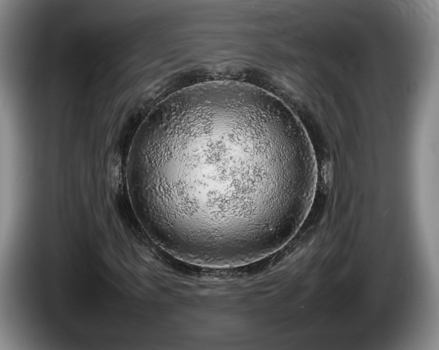 X0000086230963200704051153