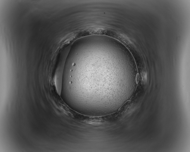 X0000086230964200704051153