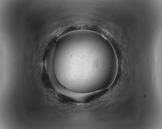 X0000086230965200704051153