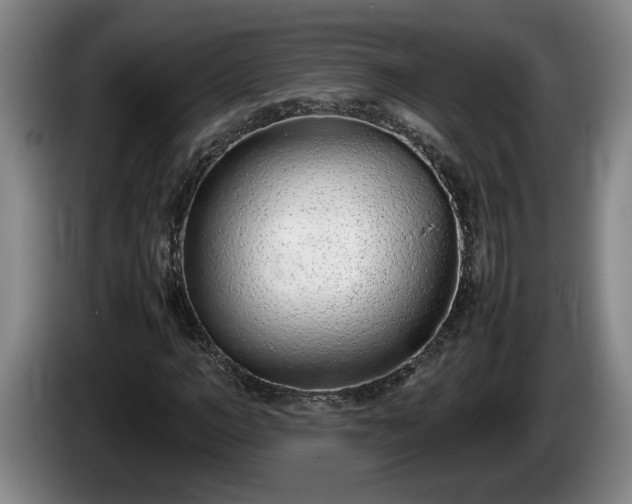 X0000086230966200704051153