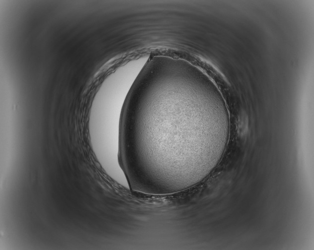 X0000086230968200704051153