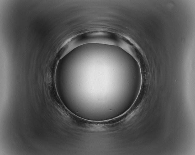 X0000086230969200704051153