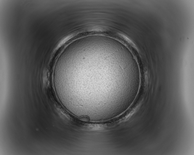 X0000086230970200704051153