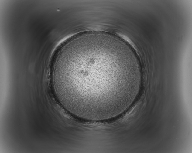 X0000086230971200704051153