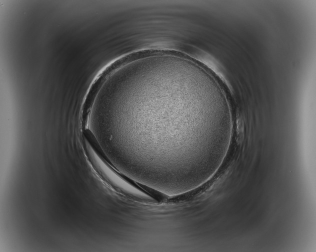 X0000086230972200704051153