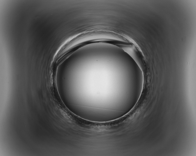 X0000086230973200704051153