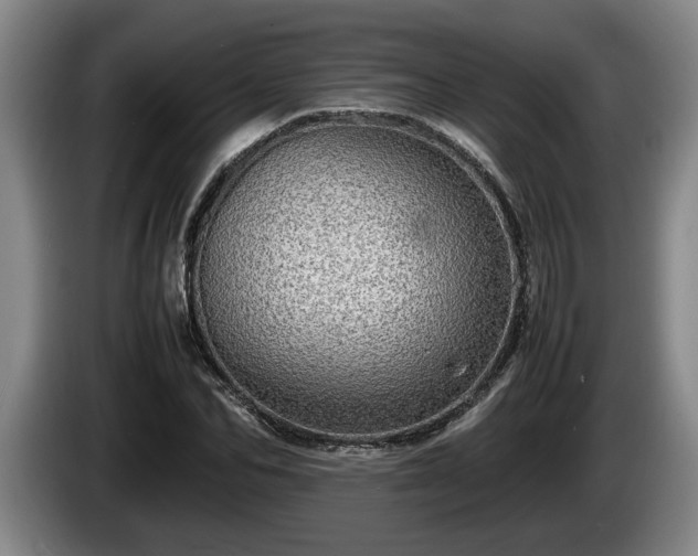 X0000086230974200704051153