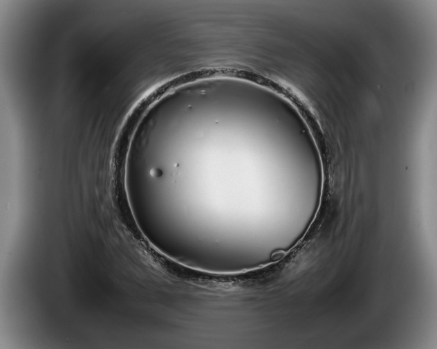 X0000086230975200704051153