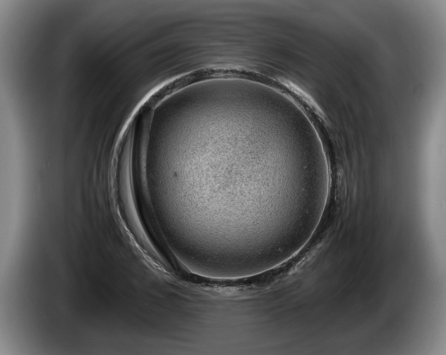 X0000086230976200704051153