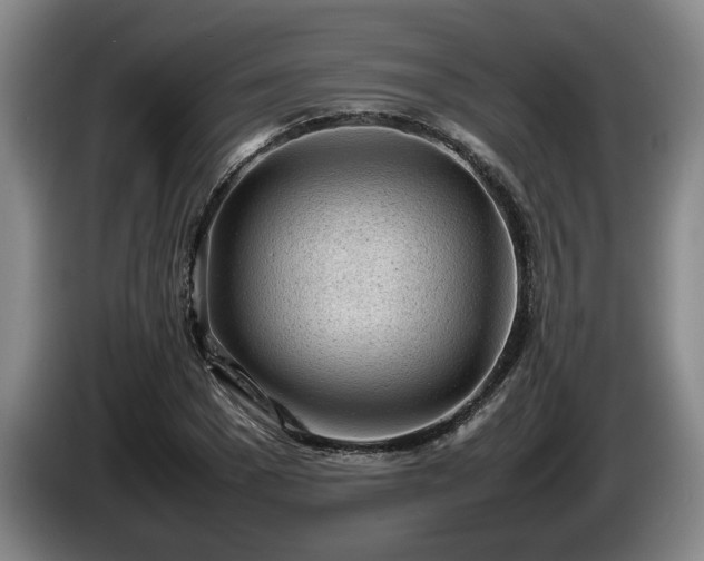 X0000086230977200704051153