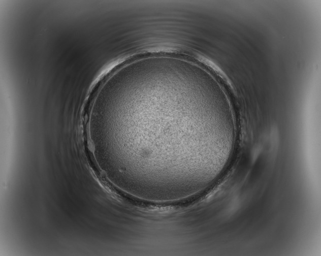 X0000086230978200704051152