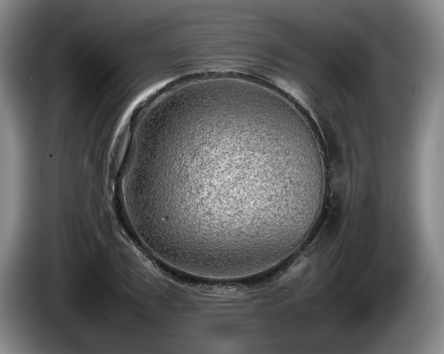 X0000086230979200704051152