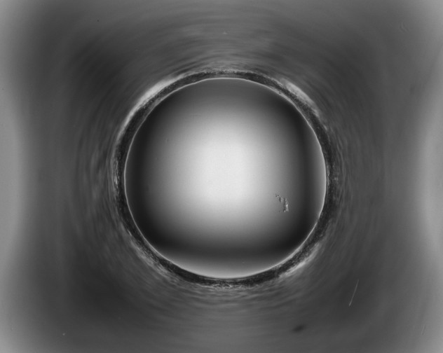 X0000086230981200704051152
