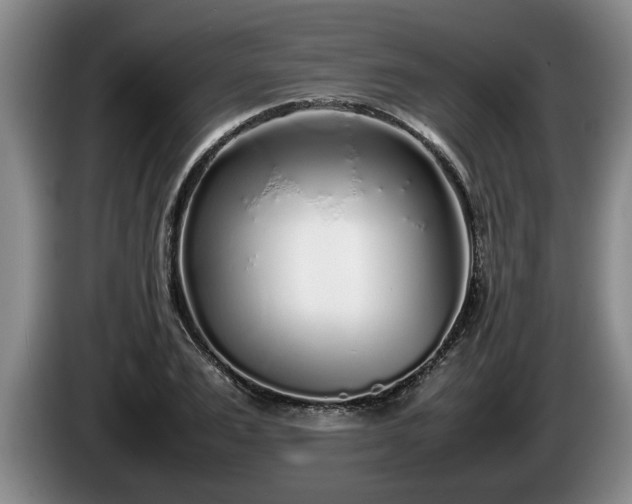 X0000086230983200704051152