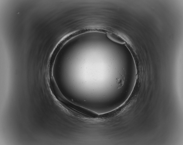 X0000086230984200704051152
