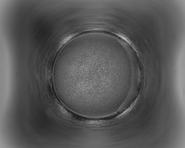 X0000086230985200704051152