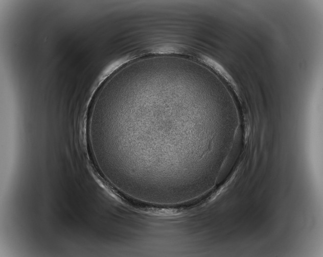 X0000086230986200704051152