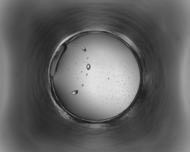 X0000086230988200704051152