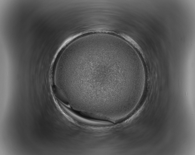 X0000086230989200704051152