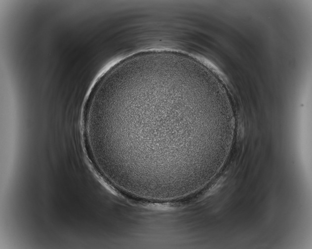 X0000086230990200704051152