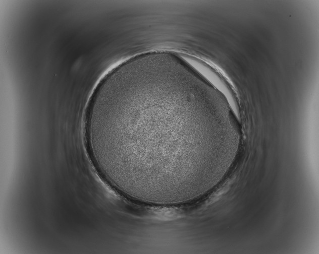 X0000086230991200704051152