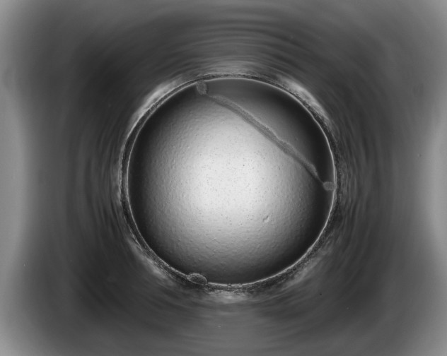 X0000086230994200704051152