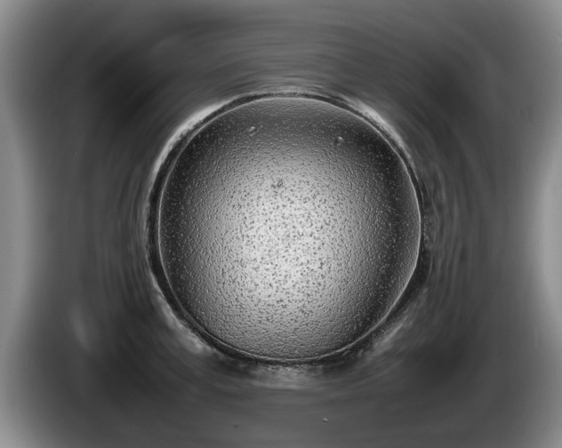 X0000086230995200704051152