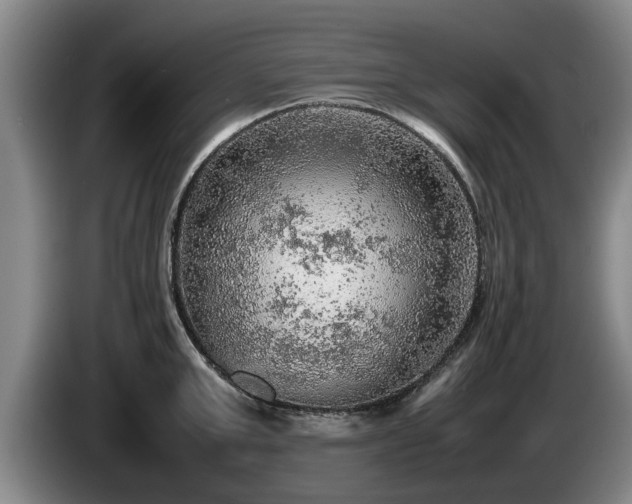 X0000086230999200704051152