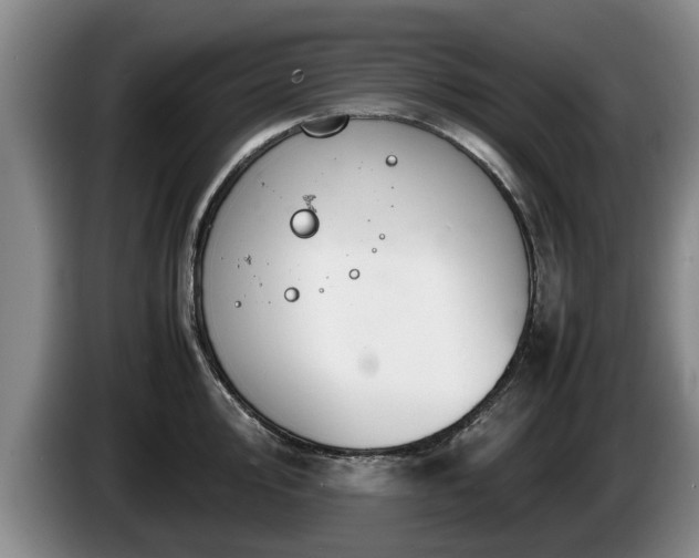X0000086231000200704051152