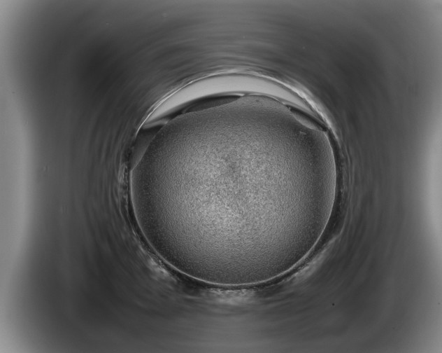 X0000086231001200704051152