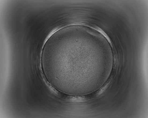 X0000086231002200704051152