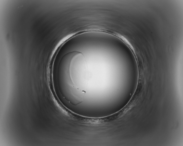 X0000086231003200704051152