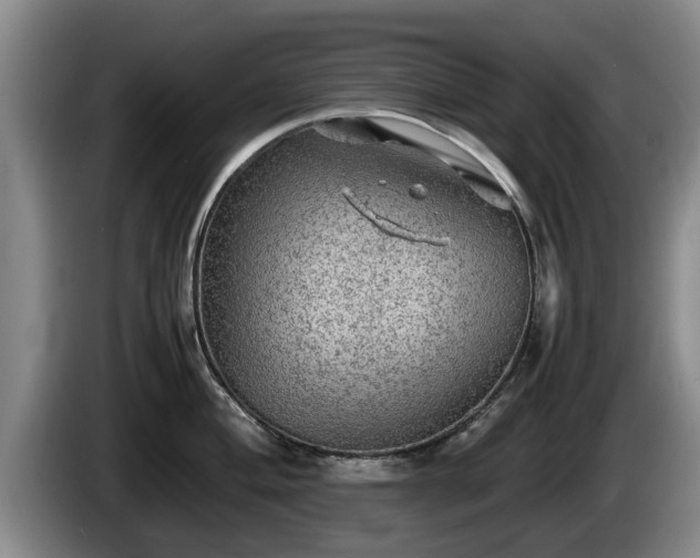 X0000086231004200704051152