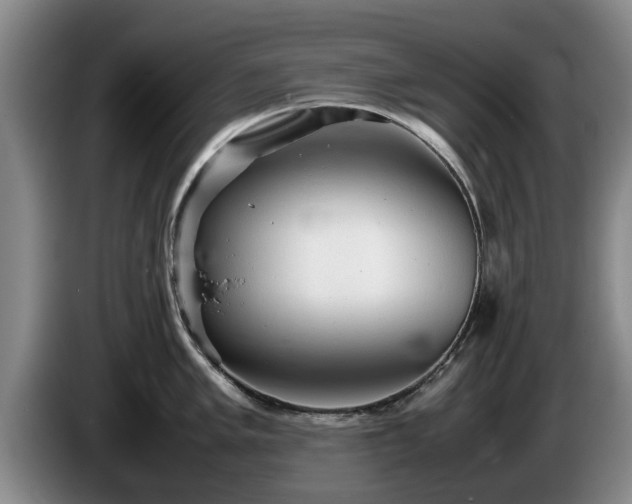 X0000086231005200704051152