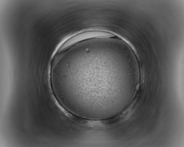 X0000086231006200704051152