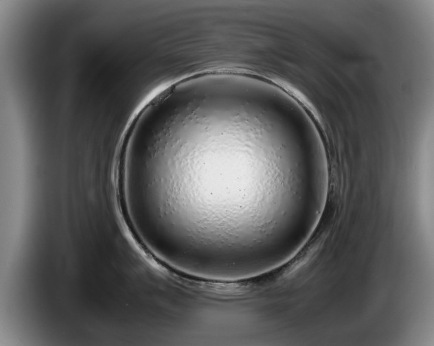 X0000086231007200704051152