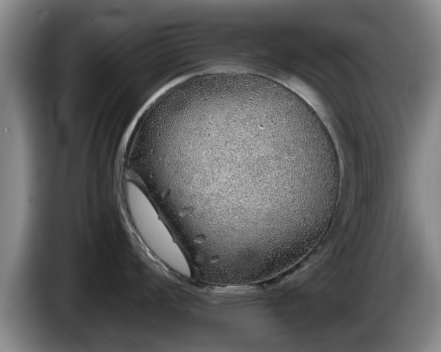 X0000086231008200704051152