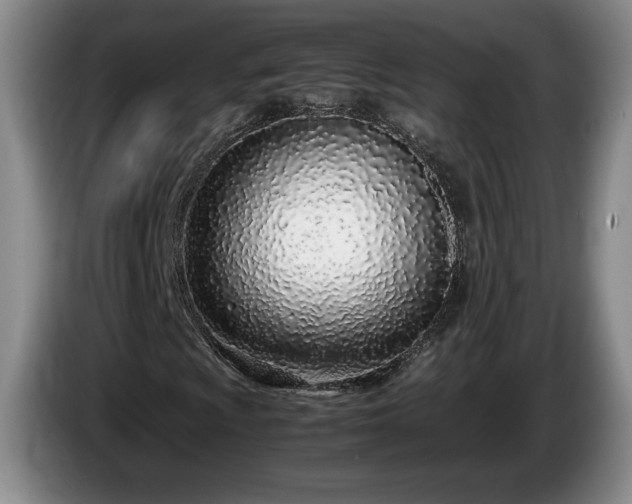 X0000086231009200704051151