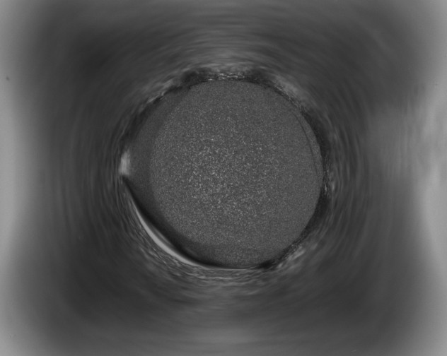 X0000086231010200704051151