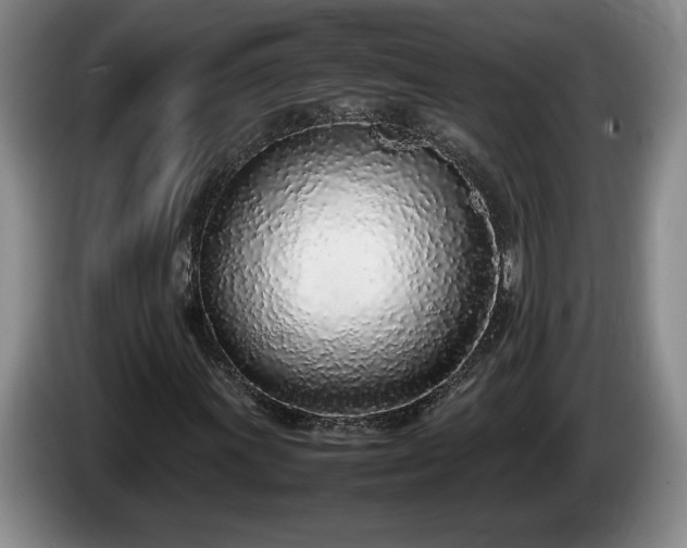 X0000086231011200704051151